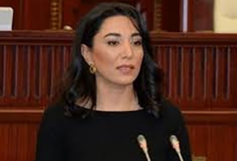 Ombudsfrau: Armenien muss Karten verminter Gebiete Aserbaidschan zur Verfügung stellen