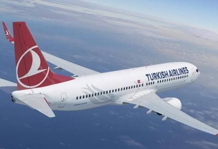 Türkiyəyə gələn sərnişinlərin xüsusi elektron anket doldurmaları tələb olunur