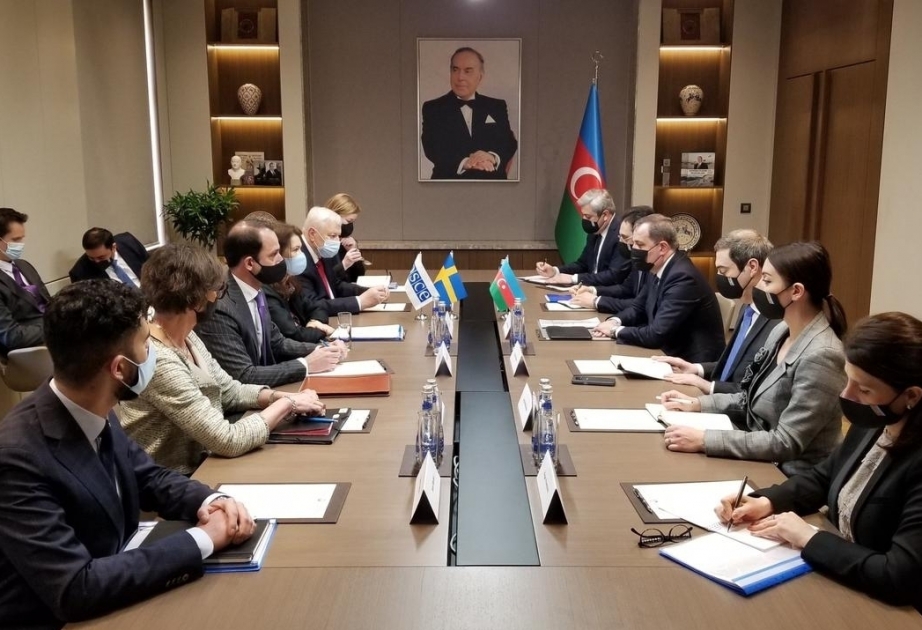 Azerbaijani, Swedish FMs meet in Baku