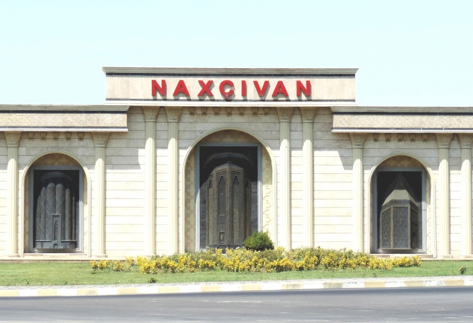 Naxçıvanda sağlamlıq imkanları məhdud uşaqlara həsr olunmuş yeni Dövlət Proqramı qəbul edilib
