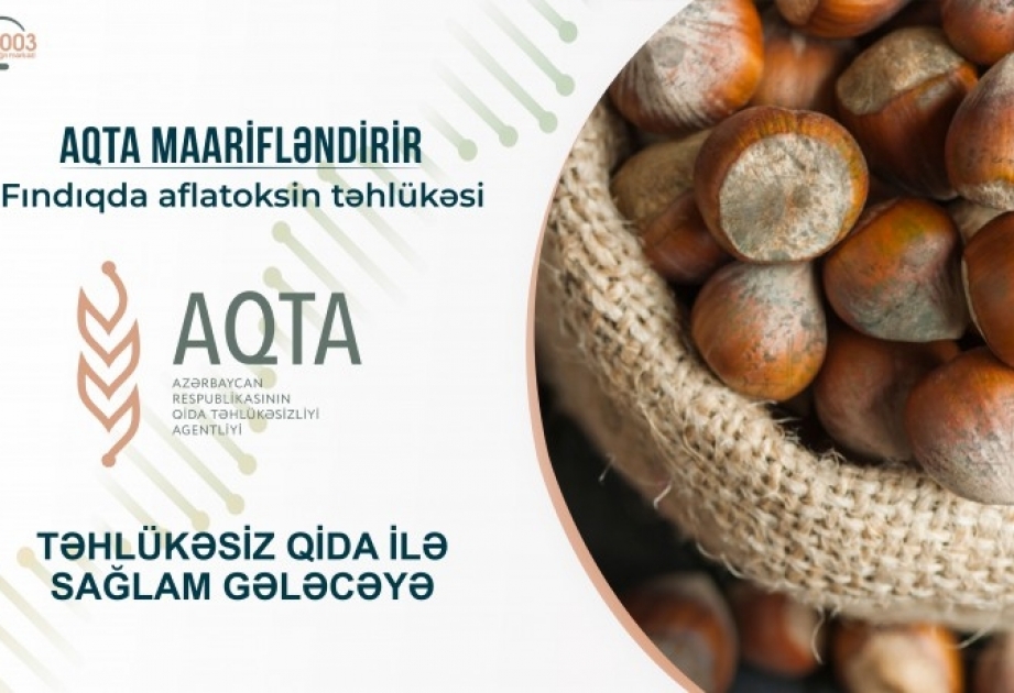 Fındıqda aflatoksin təhlükəsi