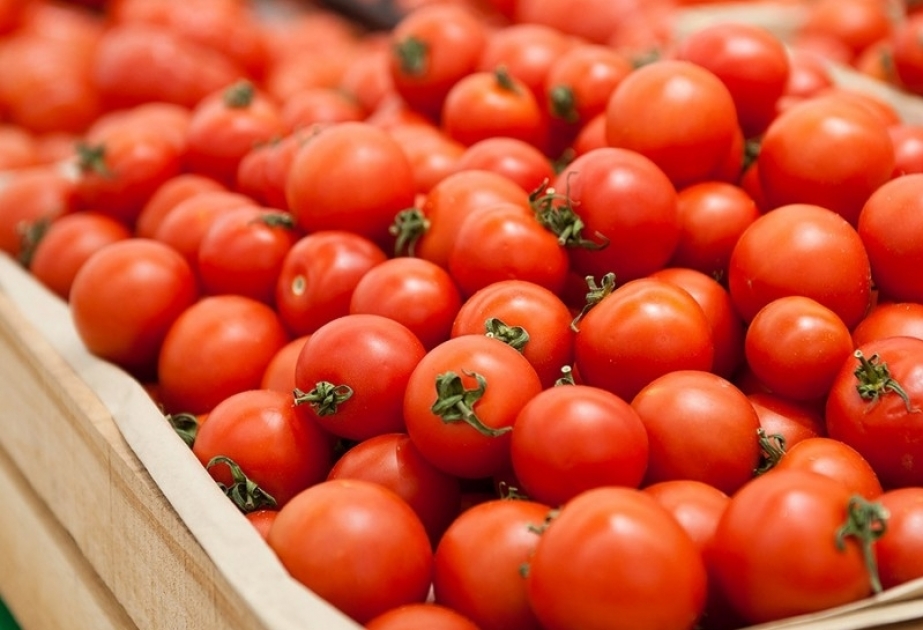 Russland erlaubt vier weiteren aserbaidschanischen Unternehmen, ihre Tomaten nach Russland auszuführen