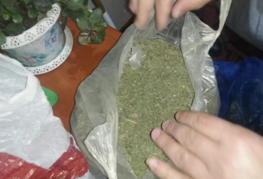 Bərdədə 3 kiloqramdan artıq marixuana götürülüb