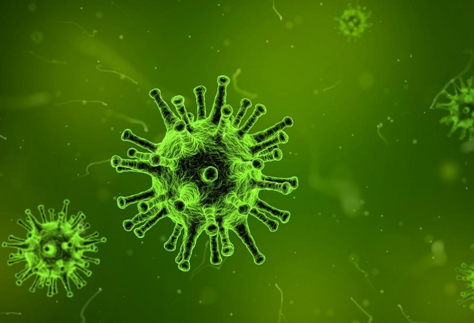 Koronavirus xəstələri ictimai yerlərdə müəyyənləşdirilərək saxlanılıb