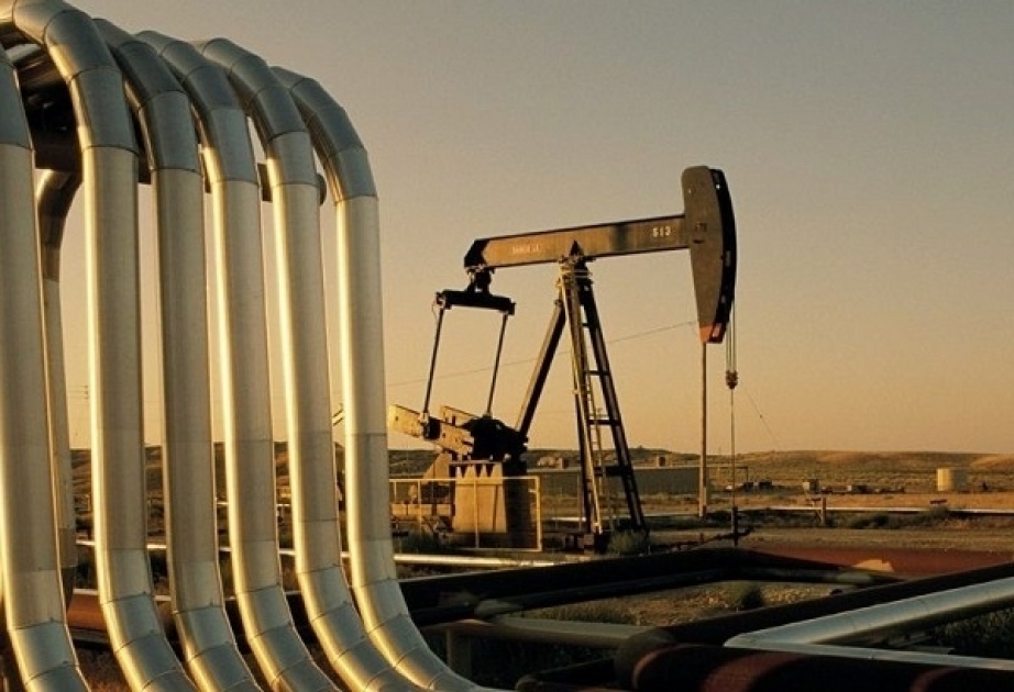 Цена нефти выросла