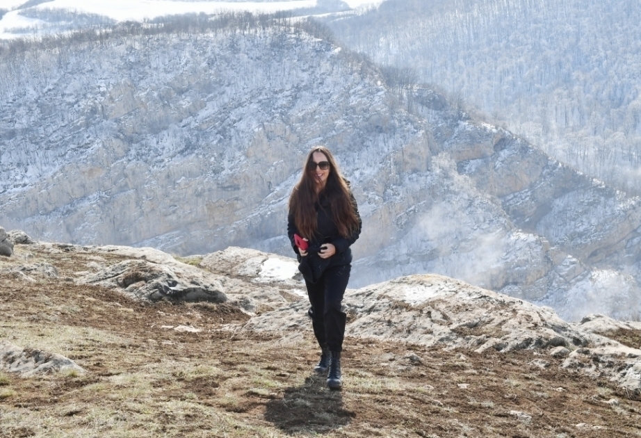 Vizepräsidentin der Heydar Aliyev-Stiftung Leyla Aliyeva gratuliert dem aserbaidschanischen Volk zum Novruz Bayram