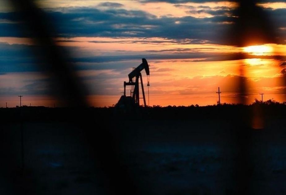 Light crude oil price rises on world markets