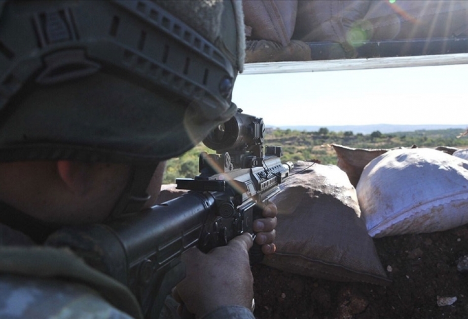 Türkiyə Ordusu PKK/YPG terror təşkilatının 11 üzvünü zərərsizləşdirib