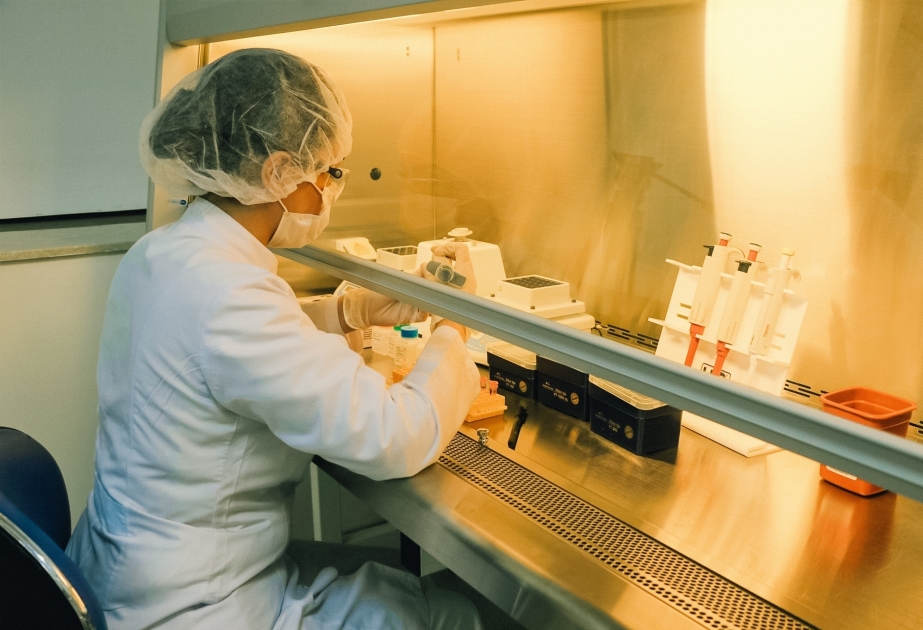 New project launched to improve Azerbaijan's food safety system