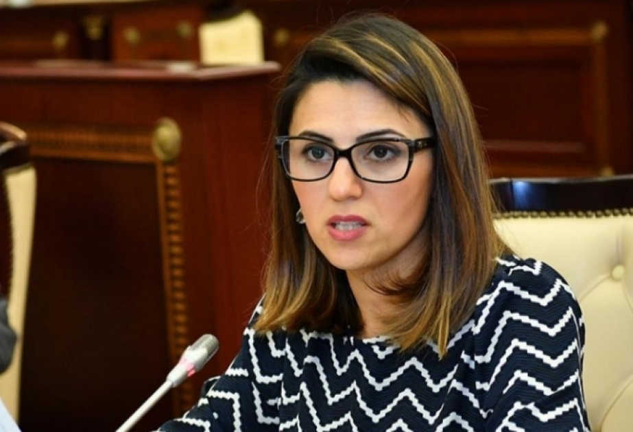 Sevinc Fətəliyeva: Ermənistan öz cılız məntiqi ilə heç vaxt beynəlxalq dəstək qazana və Azərbaycanın təşəbbüslərinə xələl gətirə bilməz