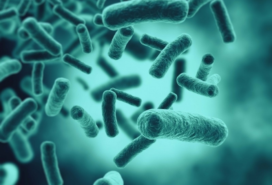 Bakteriyaların DNT-də “troyan” antibiotiklərinin olmasına dair əlamətlər aşkarlanıb