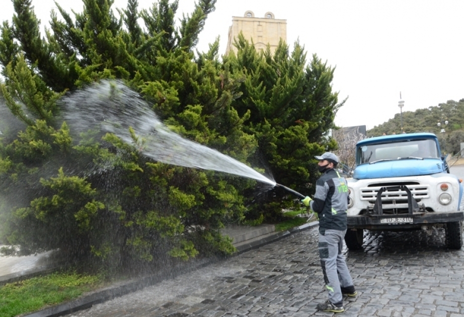 Bakıda ağaclar yuyulur, yaşıllıqlara qulluq göstərilir
