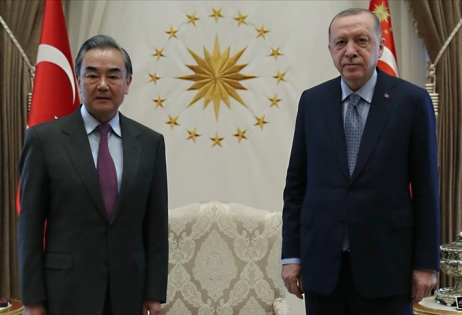 土耳其总统接见中国外交部长