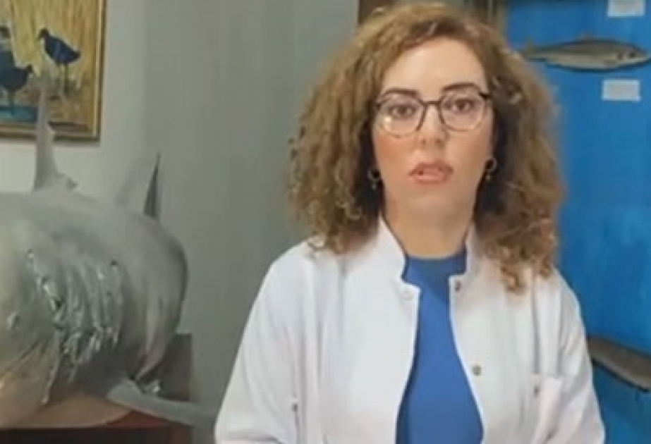 Zooloji muzeydə onlayn “Açıq qapı” təşkil olunub