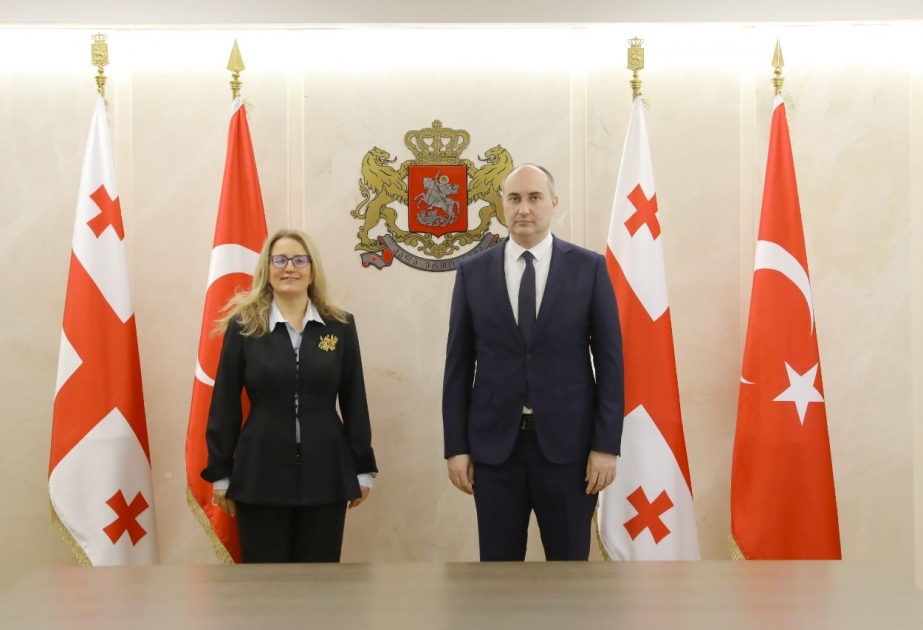 Tbilisidə keçirilən görüşdə Cənubi Qafqaz və Qara dəniz regionlarında təhlükəsizlik məsələləri müzakirə olunub