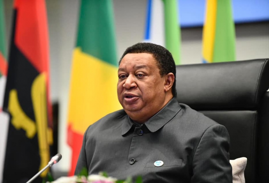 OPEC-in Baş katibi: Hazırkı dövrdə sabit neft bazarı vacibdir