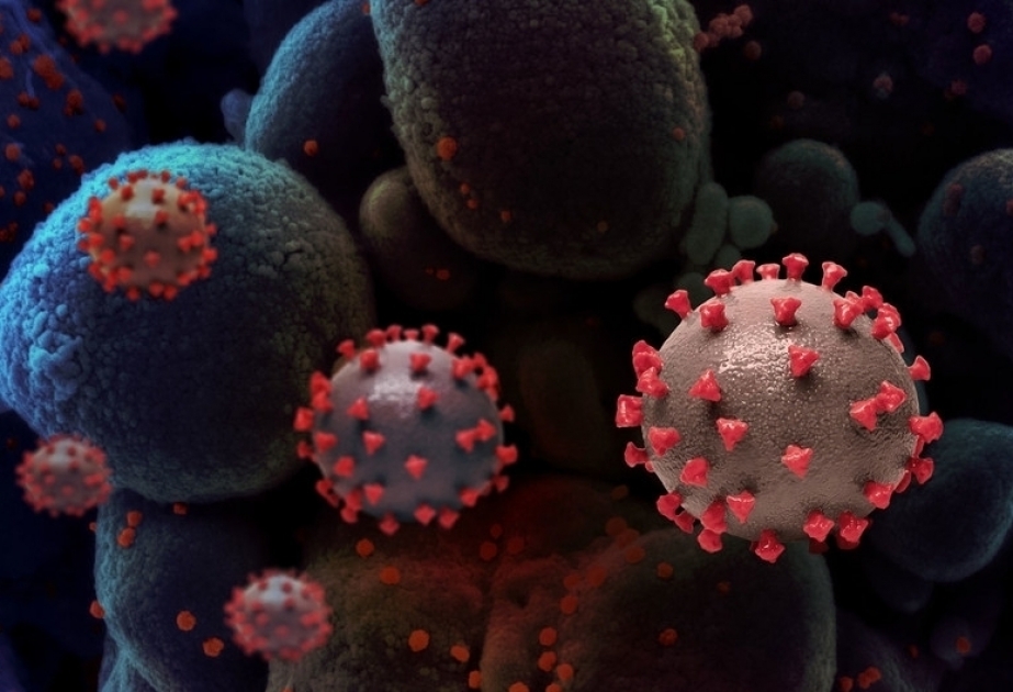Los expertos de la OMS que investigan el origen del coronavirus no han recibido información completa de las autoridades chinas