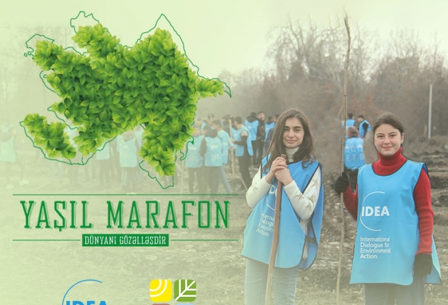 “Yaşıl Marafon” kütləvi ağacəkmə kampaniyasına start verilib