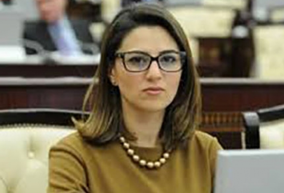 Zəngəzur dəhlizindən istifadə türkdilli dövlətlərin birliyini daha da gücləndirəcək