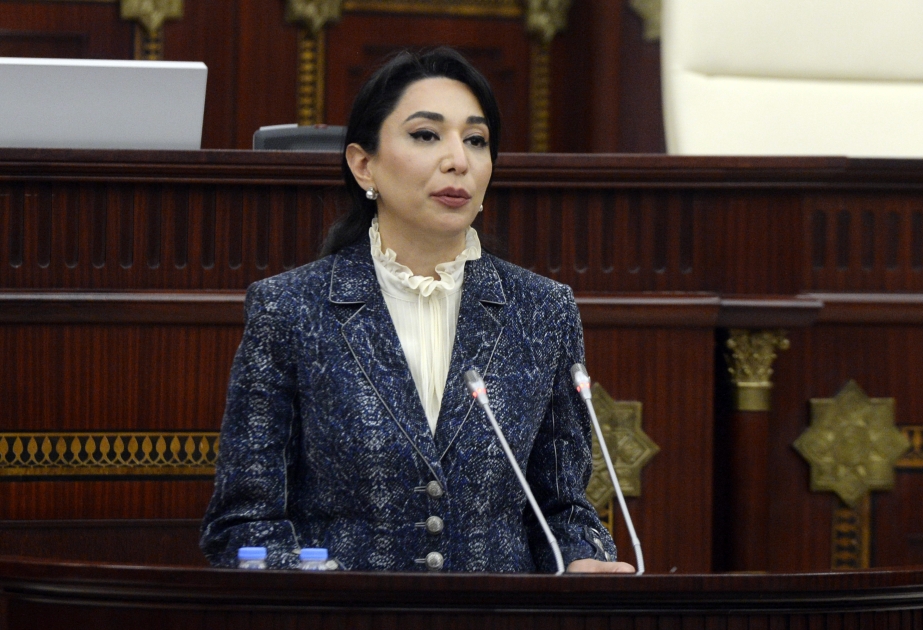 Səbinə Əliyeva: Beynəlxalq təşkilatlara Ermənistanın Azərbaycana qarşı hücumlarına dair 15 müraciət ünvanlanıb