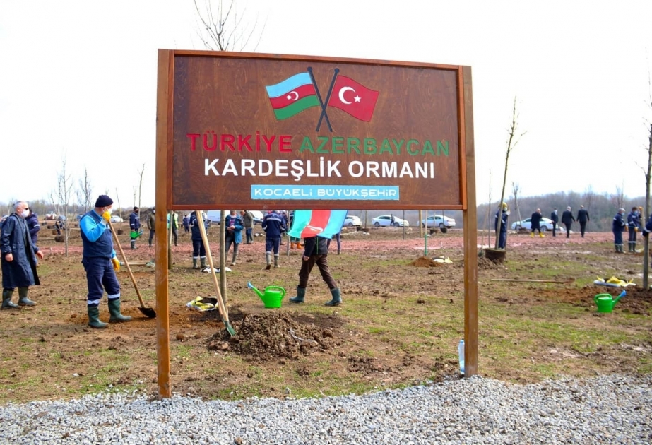 Kocaelidə Azərbaycan-Türkiyə qardaşlıq meşəsi salınıb VİDEO