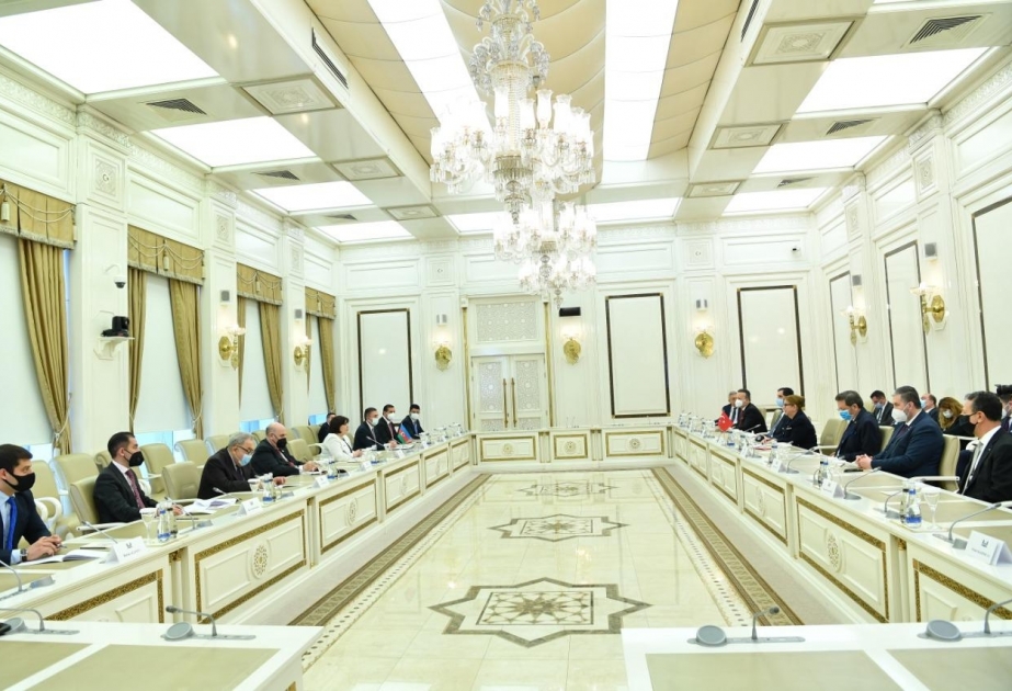 Milli Məclisin sədri Sahibə Qafarova Türkiyənin ticarət naziri ilə görüşüb