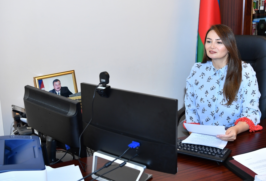Türk dünyasının Zəngəzur dəhlizi