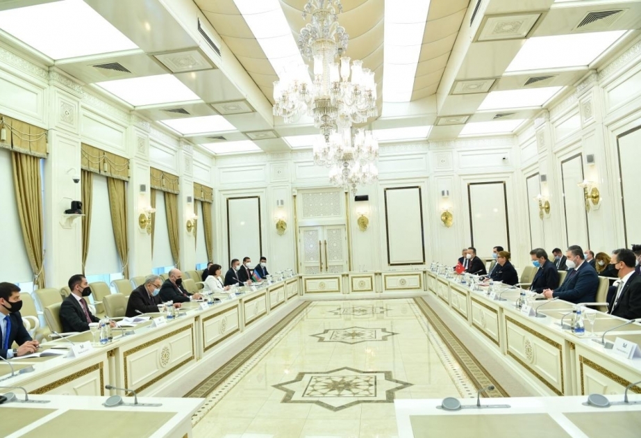 La Presidenta del Parlamento azerbaiyano se reunió con la Ministra de Comercio de la República de Turquía