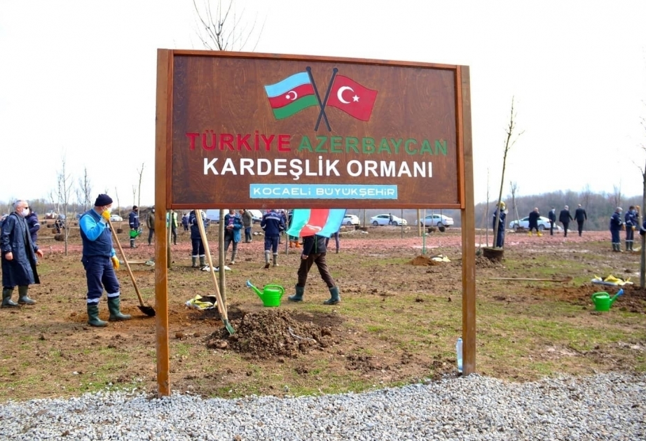 Se crea en Kocaeli el bosque de la hermandad azerbaiyano-turca