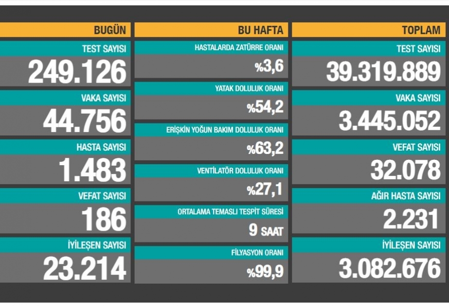 Türkiyədə koronavirusun yayılmasında və gündəlik ölüm halında artım davam edir