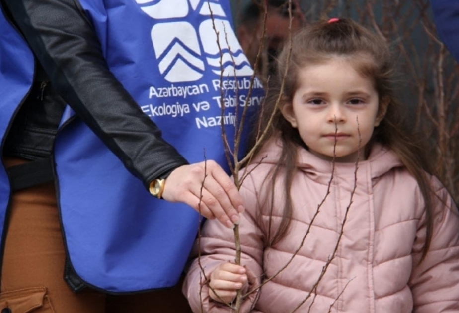 “Yaşıl Marafon” layihəsi çərçivəsində əhaliyə ağac tingləri paylanılıb