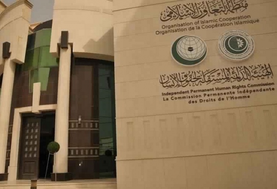 İƏT-in İnsan Hüquqları üzrə komissiyası fiziki məhdudiyyətli şəxslərlə bağlı sənəd qəbul edib