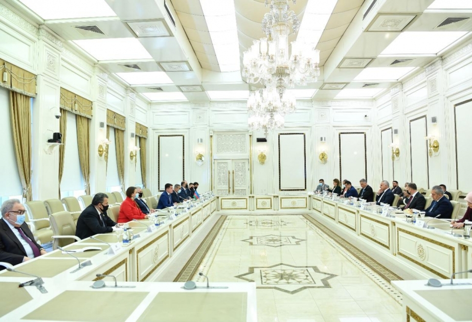 İraq parlamentinin nümayəndə heyəti Milli Məclisdə olub