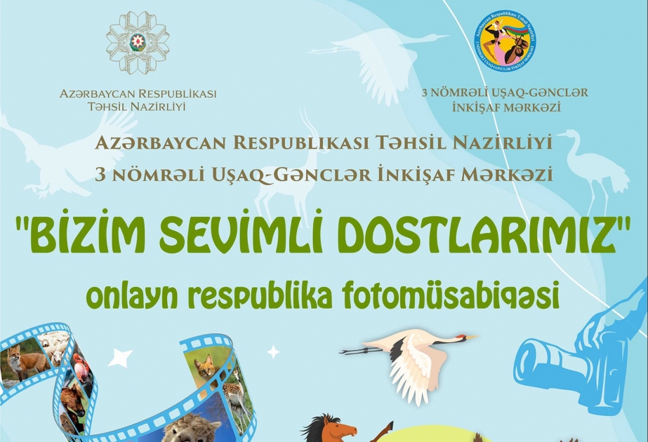 “Bizim sevimli dostlarımız” adlı onlayn respublika fotomüsabiqəsi keçirilir