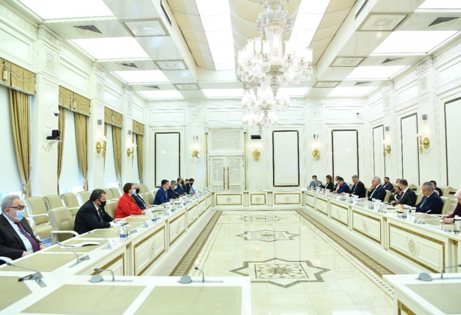La délégation parlementaire irakienne au Milli Medjlis azerbaïdjanais