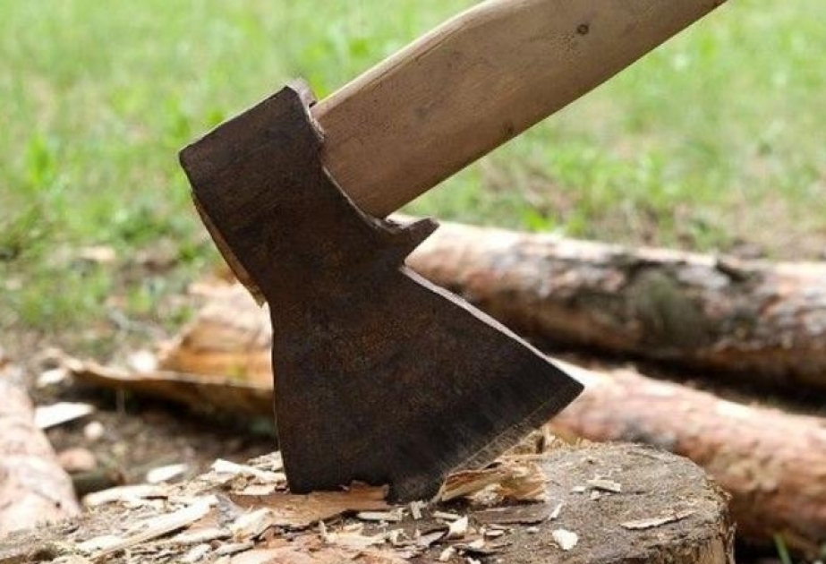 Ağacların kəsilməsi ilə bağlı toplanmış sənədlər Baş Prokurorluğa göndərilib