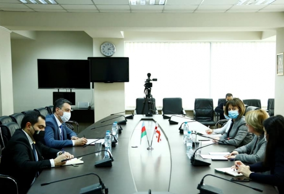 讨论阿塞拜疆与格鲁吉亚在卫生和社会保障领域合作的前景