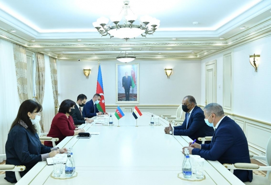 Председатель Милли Меджлиса Сахиба Гафарова встретилась с послом Арабской Республики Египет в нашей стране