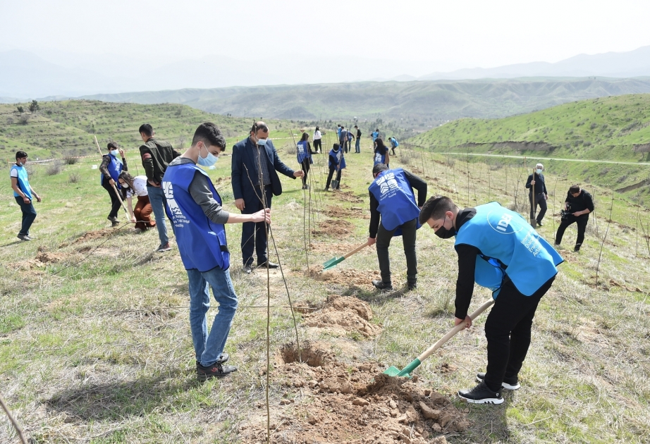 Kütləvi informasiya vasitələrinin nümayəndələri Zəngilan rayonuna səfər ediblər VİDEO