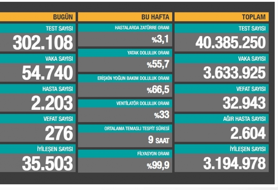 Turkey hits new COVID-19 case record