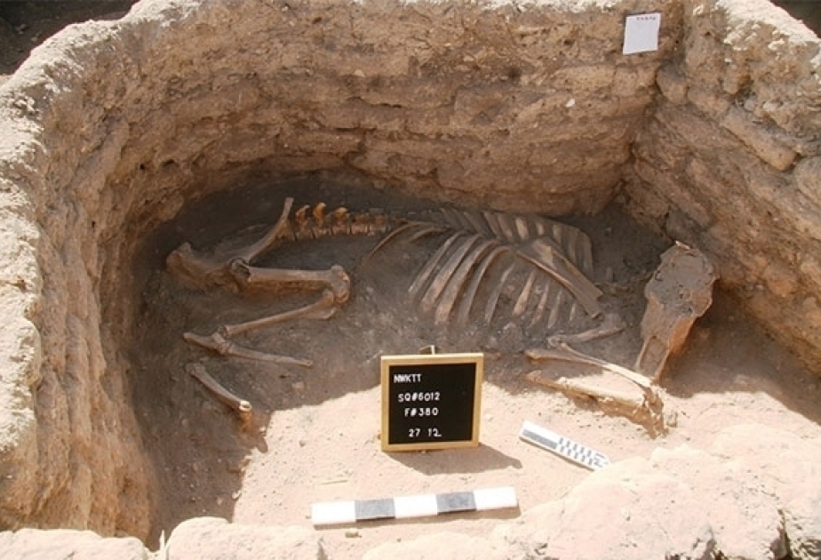 Descubren en Egipto una antigua ciudad perdida bajo las arenas hace 3.000 años
