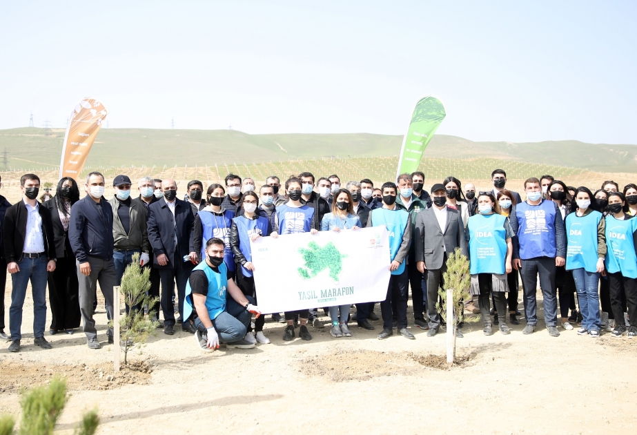 Empleados y voluntarios del Ministerio de Justicia se unieron a la campaña de plantación de árboles llamada “Maratón Verde”