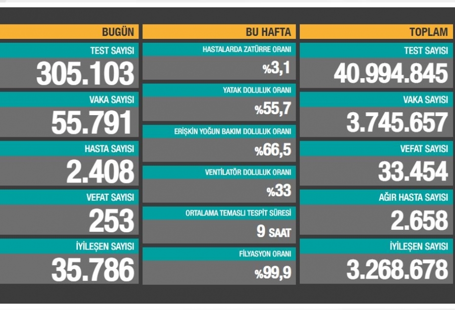 Türkiyədə son sutkada 253 nəfər koronavirusdan dünyasını dəyişib