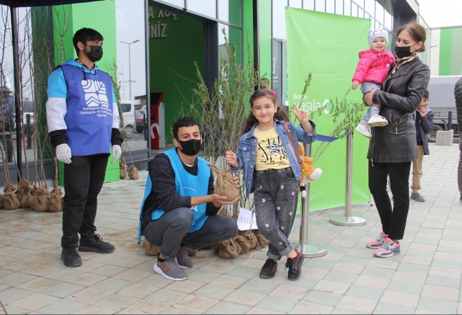 Se distribuyeron plántulas de diferentes especies de árboles a la población del distrito de Shamkir en el marco del proyecto "Maratón Verde"