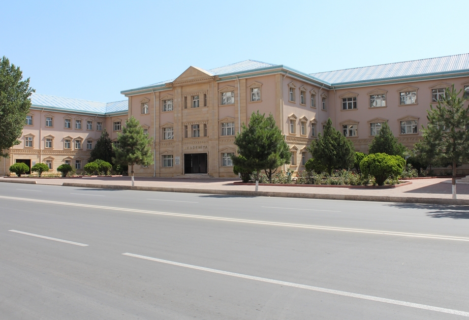 Naxçıvan Bölməsi cari ilin birinci rübündəki fəaliyyəti ilə bağlı hesabat verib