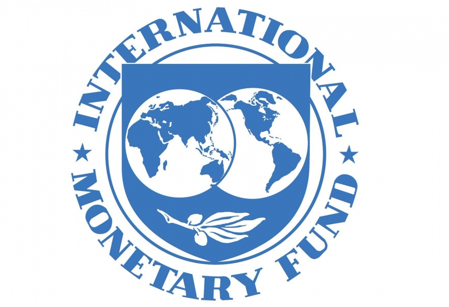 صندوق النقد الدولي يخصص 111 مليون دولار لجورجيا