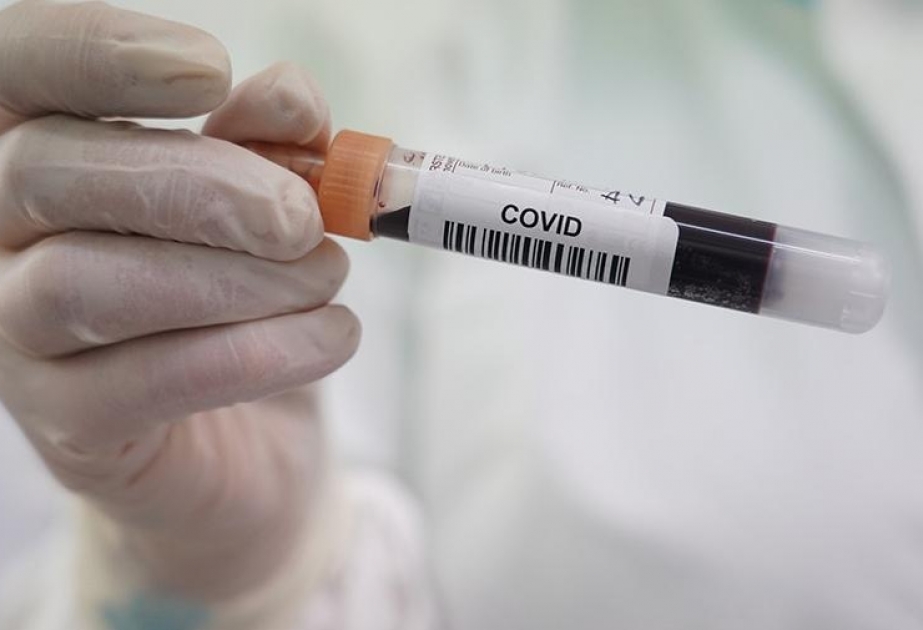 Ученые обнаружили в Анголе штамм коронавируса с 34 мутациями
