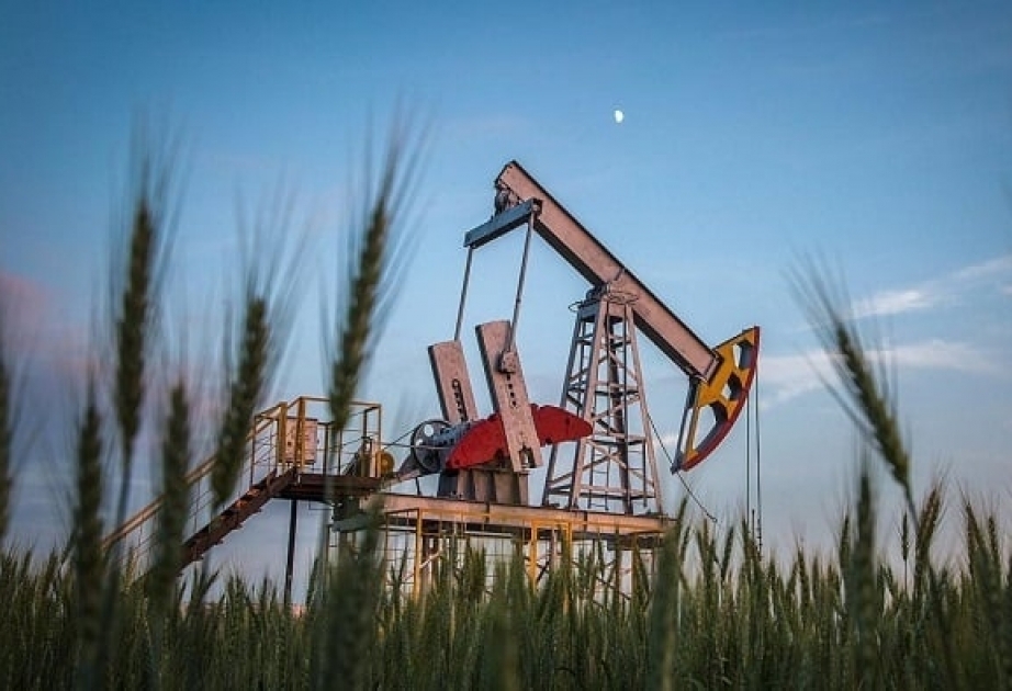 OECD ölkələrinin neft ehtiyatları azalıb
