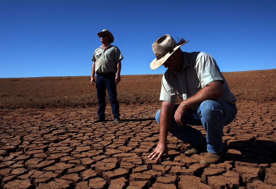 Засуха выжигает более 83 проц территории Мексики
