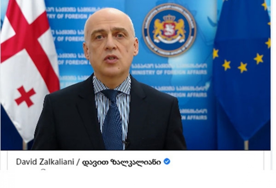 Gürcüstan ilə ABŞ arasında strateji tərəfdaşlığın perspektivləri müzakirə olunub